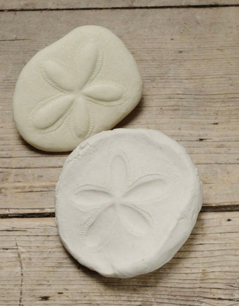 Let’s Investigate – Fossils