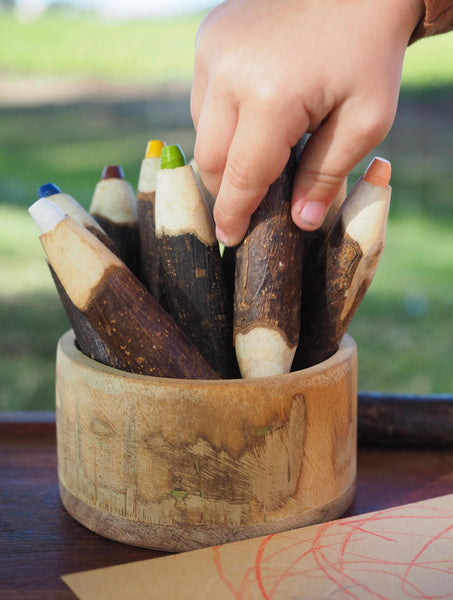 Tree colour pencil set