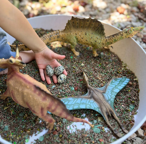 Dinosaur Valley Curated Merriment