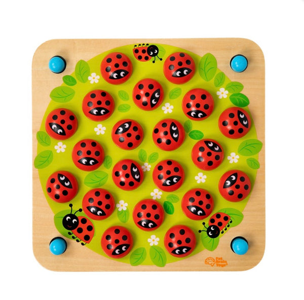 LADYBUG'S GARDEN MEMORY GAME