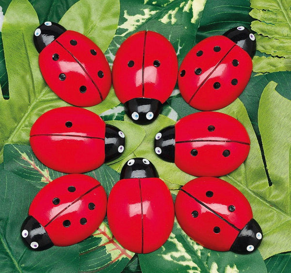 Ladybug Counting Stones