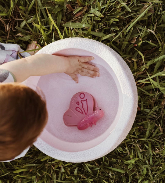 Butterfly Garden Teether
