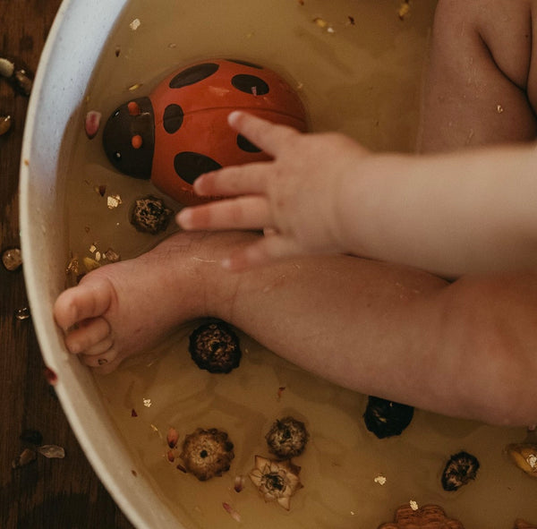 Lady Bug Teether, Rattle and Bath Toy
