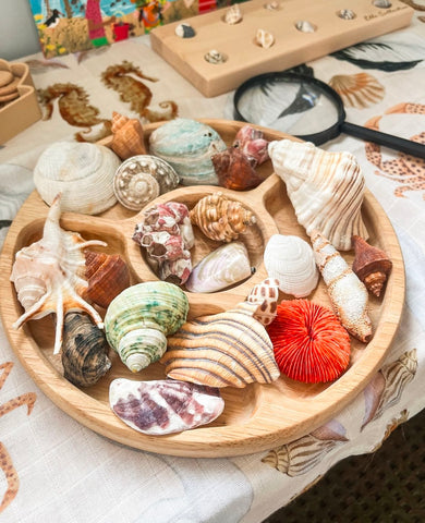 Round Dividing Montessori Tray