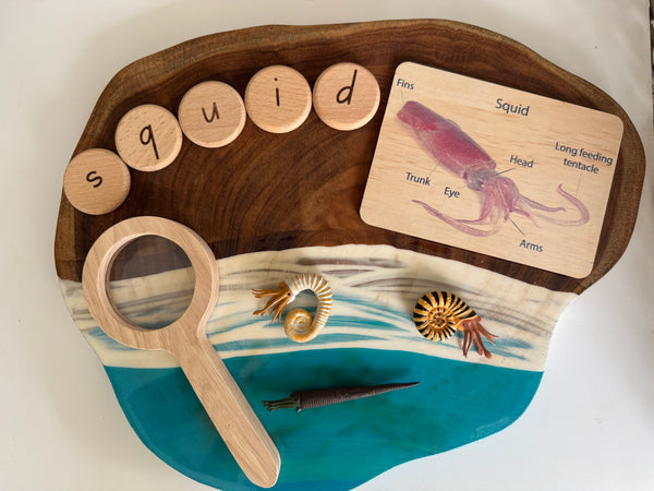 Sea life anatomy cards (set of 7)