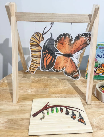 Lifecycle of a Monarch branch board