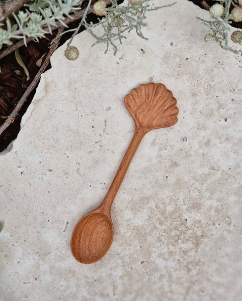 Shell Spoon