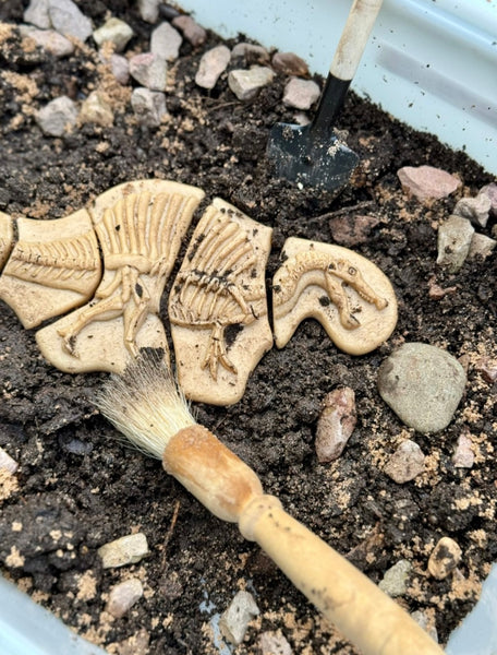 Dig and Discover – Triceratops & Spinosaurus