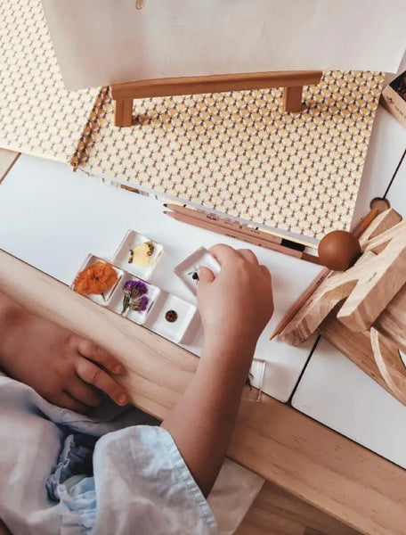 Pollinator Pals Specimen Set