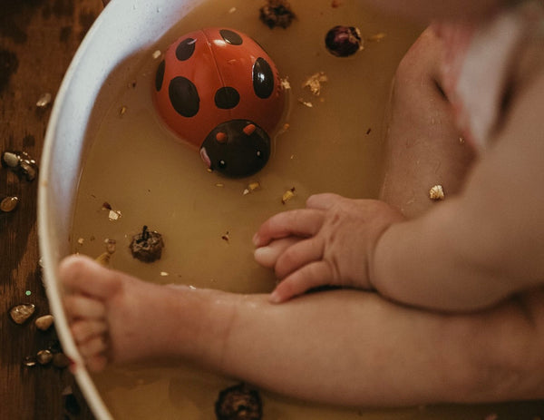 Lady Bug Teether, Rattle and Bath Toy