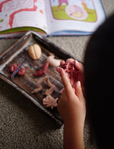 Mini Tray