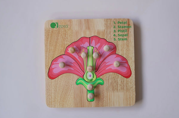 Flower anatomy puzzle