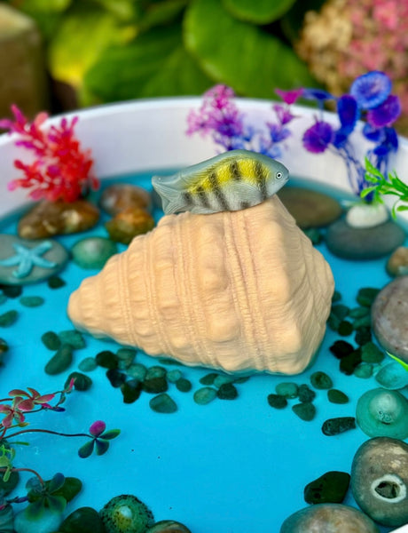 Play Shell