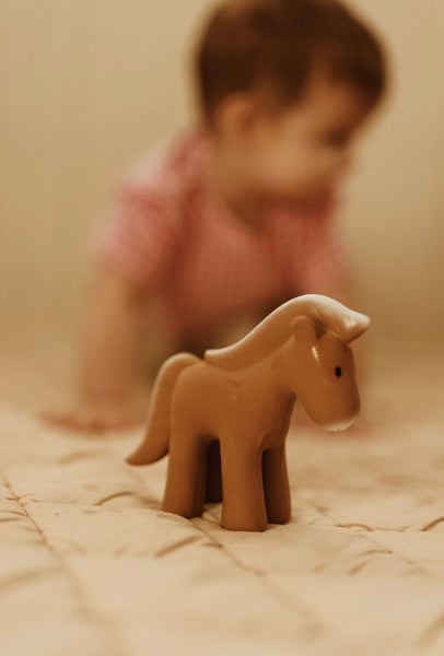 Horse Teether, Rattle and Bath Toy