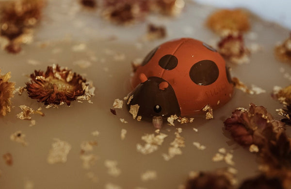 Lady Bug Garden Friend