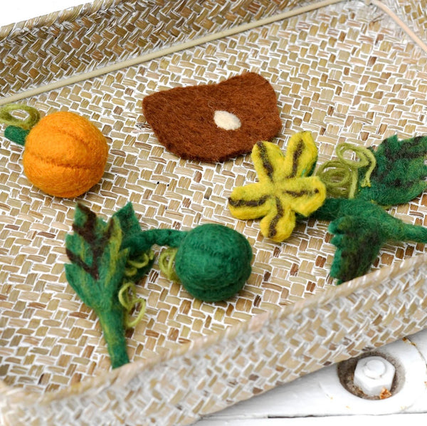 FELT LIFECYCLE OF PUMPKIN