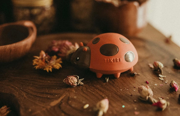 Lady Bug Garden Friend