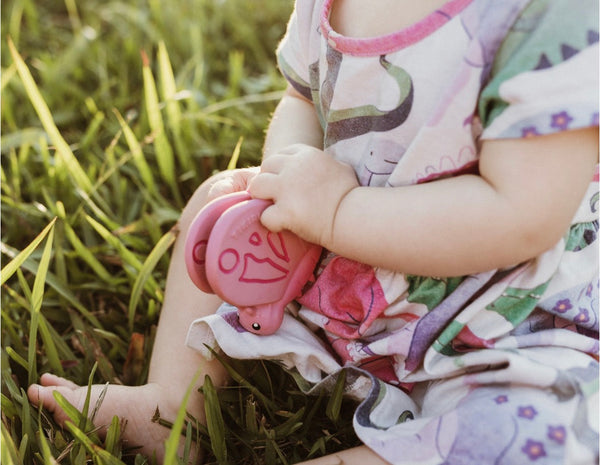 Butterfly Garden Teether