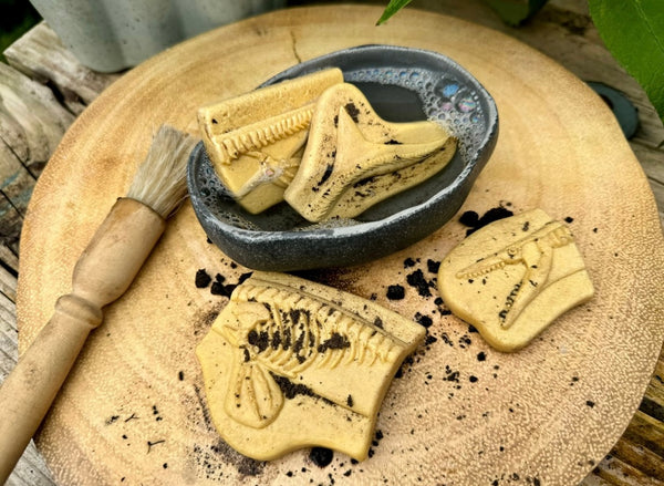 Dig and Discover – Pliosaur & Stegosaurus