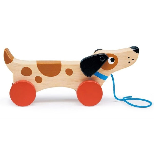 Puppy On Wheels Pull Along