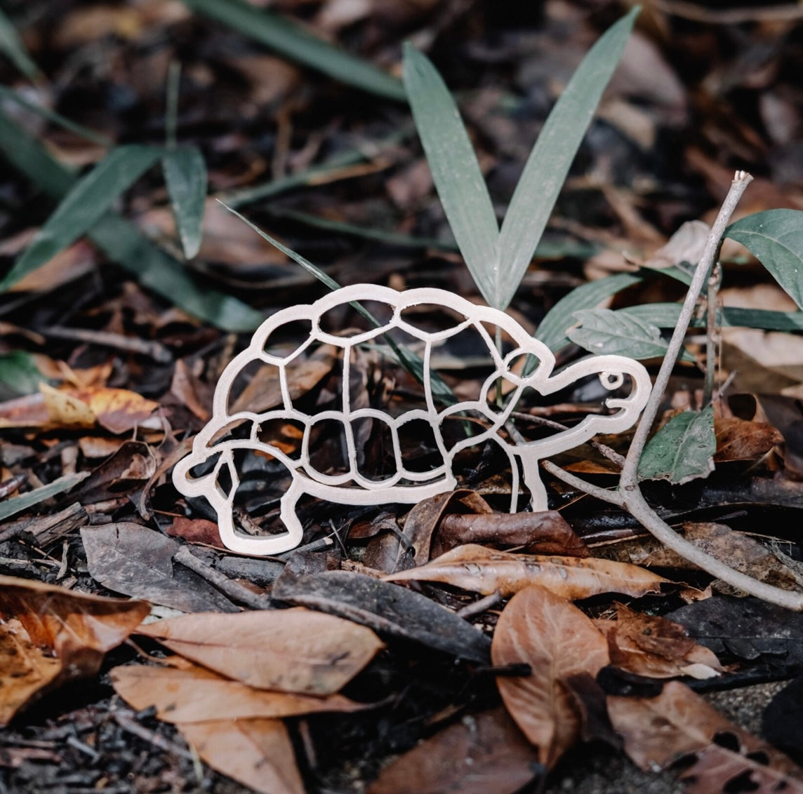 Tortoise Eco Cutter™