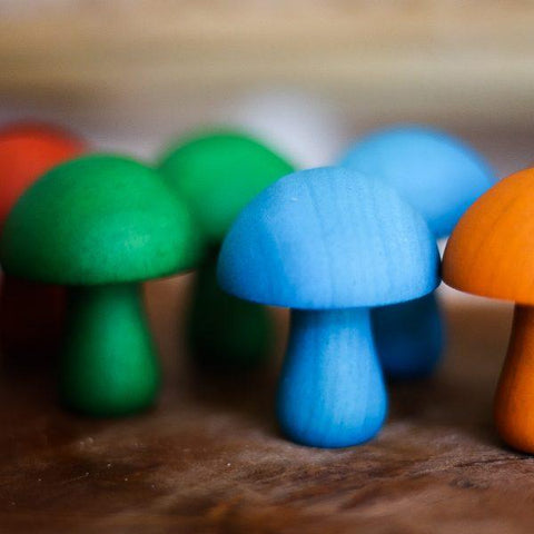Coloured Mushrooms 10 Pieces