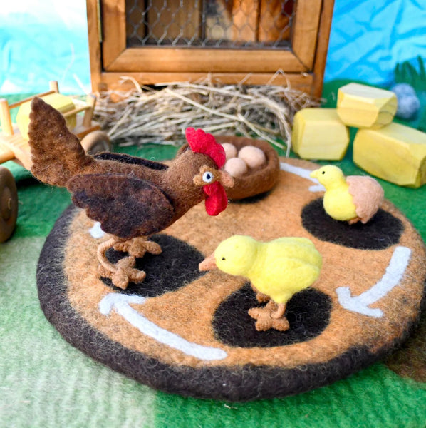 Felt Lifecycle of a Chicken
