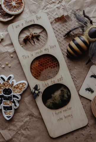 Honey Bee ecosystem board + stand