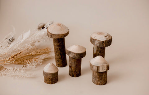 Tree Mushroom Set