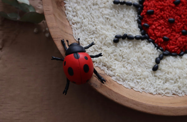 Lifecycle of a Ladybug- Safari Ltd