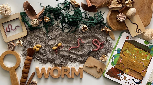 Life cycle of a worm