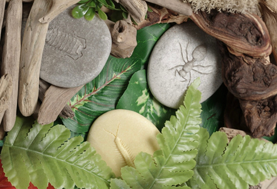 Let's Investigate Bugs