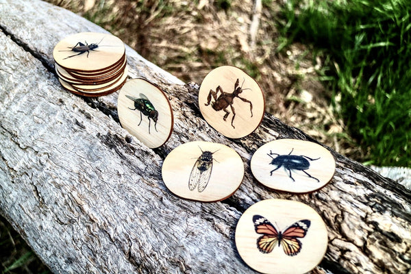 Australian Themed Magnets -Bugs- 28 Pieces