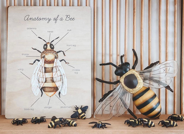 Anatomy of a bee board