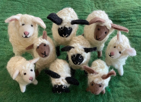 Papoose Flock of Sheep