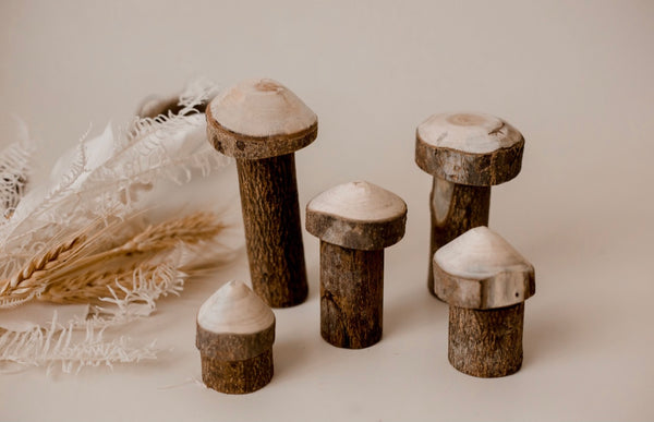 Tree Mushroom Set