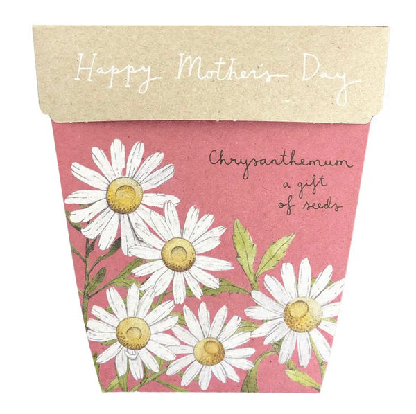 Chrysanthemum Mother’s Day Gift of Seeds