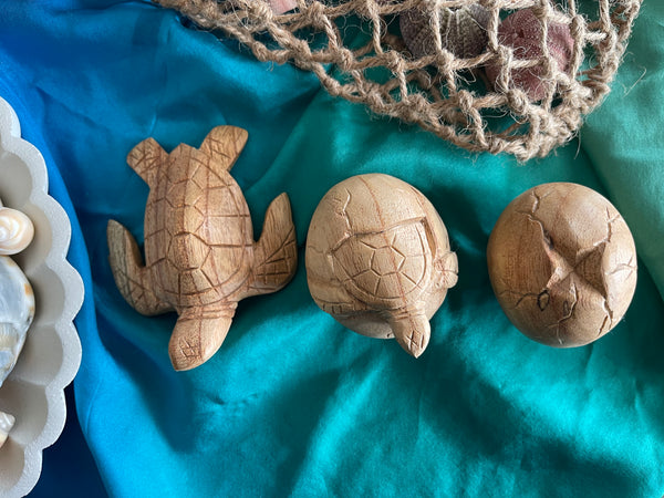 Wooden turtle life cycle set
