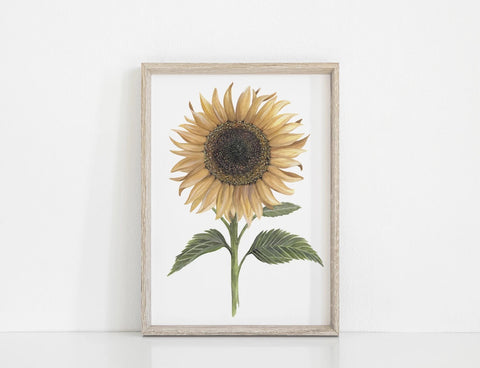 A4 Sunflower Art Print