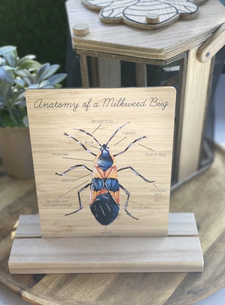 Anatomy of a MilkWeed Bug Board