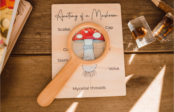 Anatomy of a mushroom board
