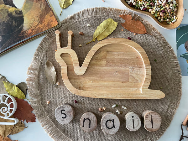 Snail sensory board