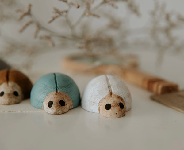 Earth Ladybirds/7pc