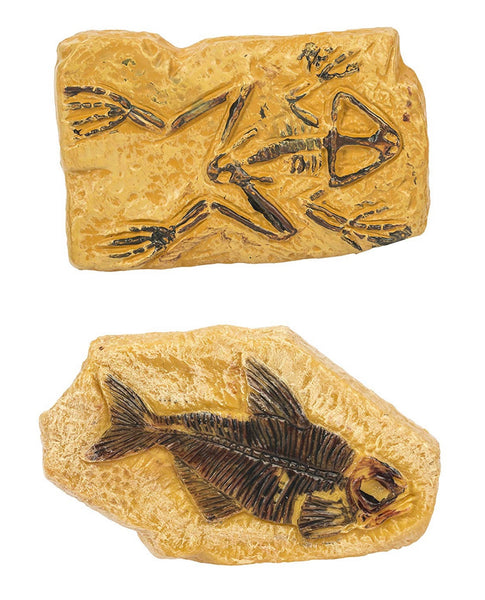 Ancient fossil toob- Safari Ltd