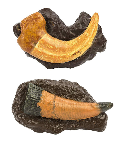 Ancient fossil toob- Safari Ltd