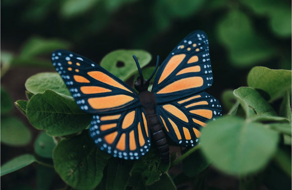 Monarch Butterfly- Safari Ltd