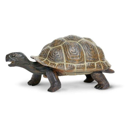Safari Ltd Tortoise Baby Incredible Creatures