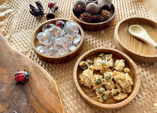 Teak dish set (4)