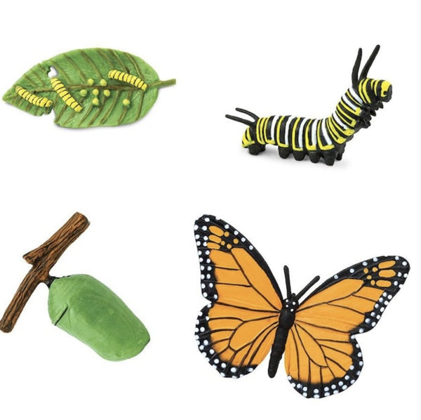 Lifecycle of a Monarch Butterfly Safari Ltd