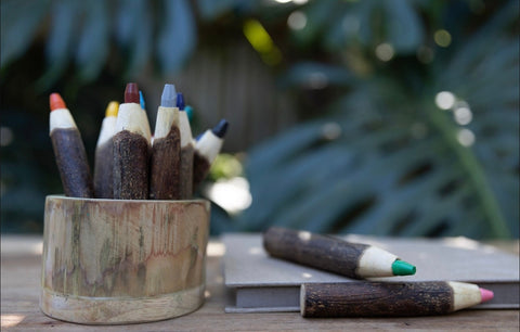Tree colour pencil set